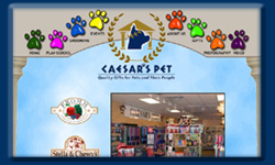 Plumber Website Design